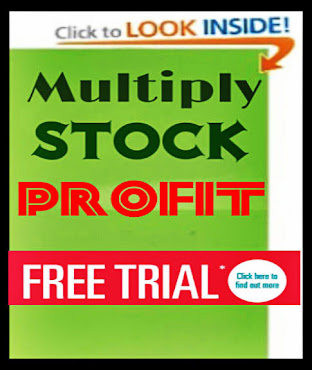 Multiply Stock Profits