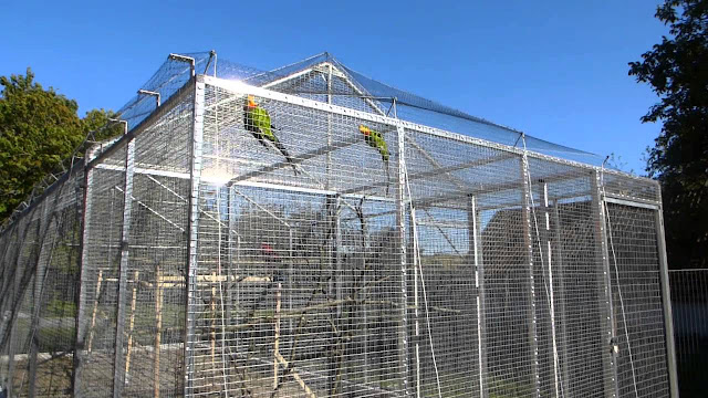 Country Birds Aviary