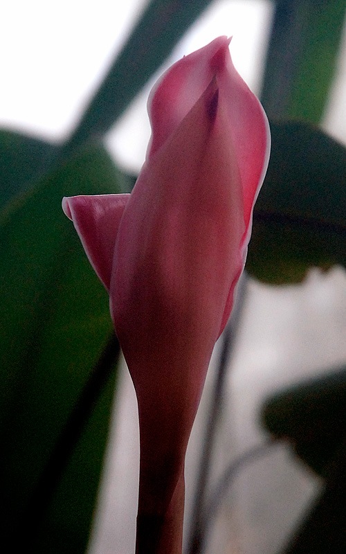_DSC0560e