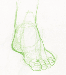 A foot drawn in color pencil, drawn show all the forms.