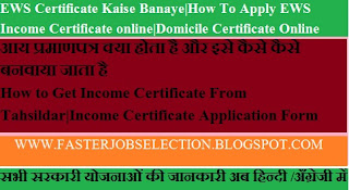 domicile certificate online|income certificate online form