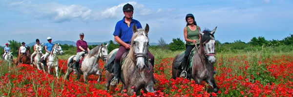 equinoterapia ó terapia con caballos