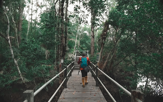 Hiking Sepilok Laut Sandakan