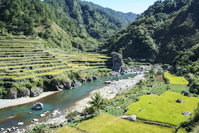 Rice Terraces in Northern Luzon