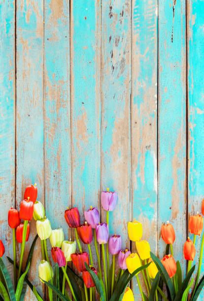 Top 10 Trending Springtime Wallpaper for iPhone and Background on Pinterest 2021