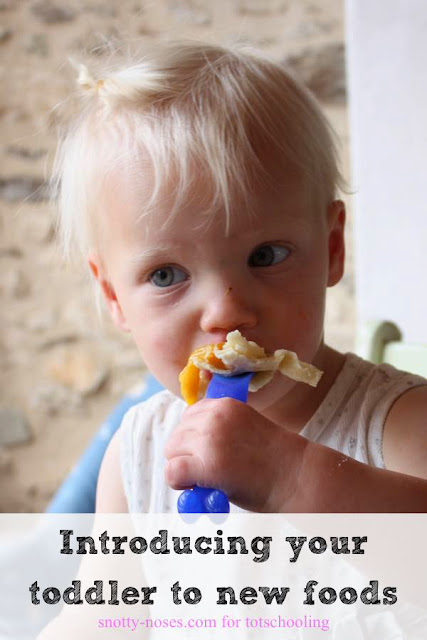 10 Tips to Help You Feed your Toddler a Healthy Diet