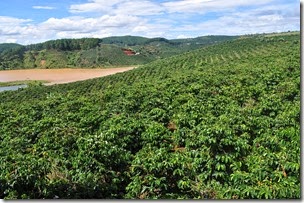 Vietnam DaLat 131116_0073