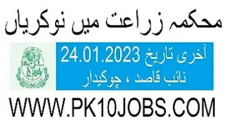 Institute of Advanced Agriculture Jobs 2023 - Punjab Lahore