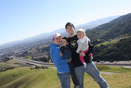 The Farrells