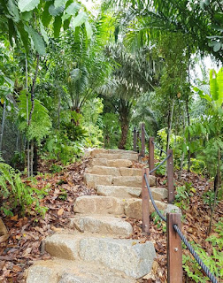 Photograph: Stone staircase going up hhill@Rambler's Ridge