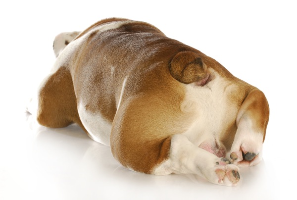 Shutterstock 69887713