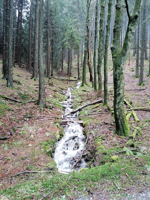 Sauerland wandern Wetter blog Schmallenberg Hunau