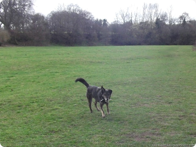 a little stick