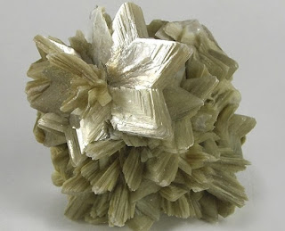 Muscovite