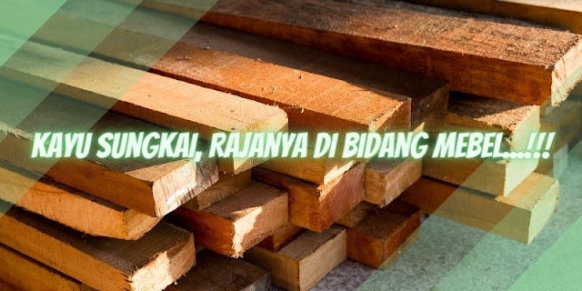 Kayu Sungkai yang Menjadi Andalan di Bidang Mebel