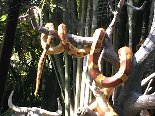 Python Animatronic Jungle Cruise Disneyland