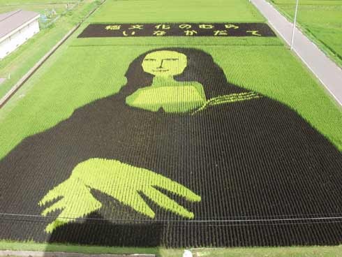 rice-paddy-art (28)