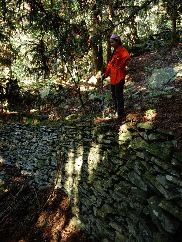 2014_0101-0105 萬山神石、萬山岩雕順訪萬頭蘭山_0285