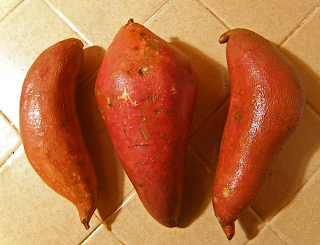 Three Washed Yams on Counter