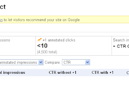 Have you check your Google +1metrics?