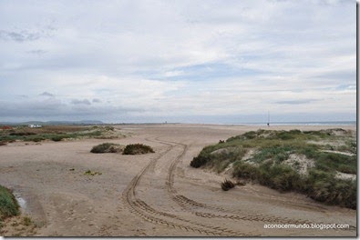 Conil. Playa Bateles - DSC_0233
