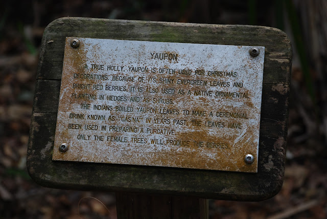 Bullow Creek State Park