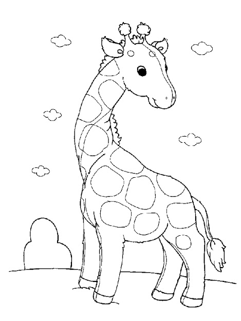 Ba Zoo Animals Coloring Pages Photo Animal Coloring Sheets