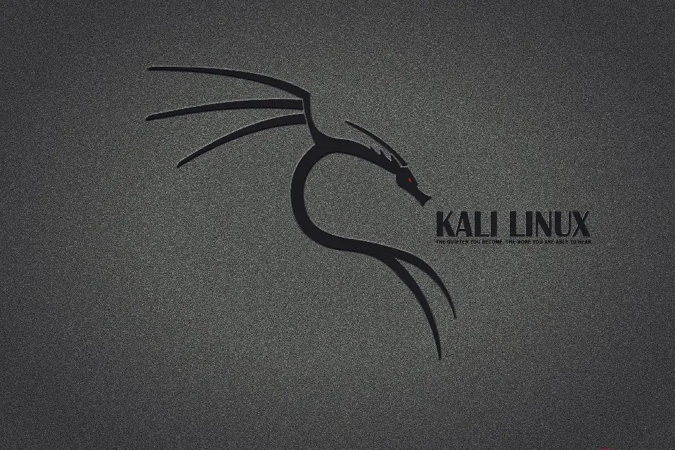 How to install Kali Linux?