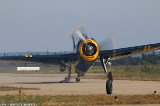 Feria de l'air 2015 Nîmes Garons 