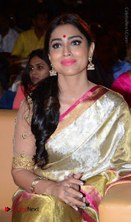 Actress Shriya Saran New Images in Silk Saree at Gautamiputra Satakarni Audio Launch  0009.jpg