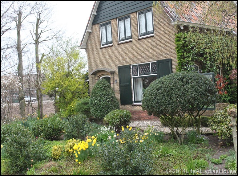 Holland Flower Fields 7