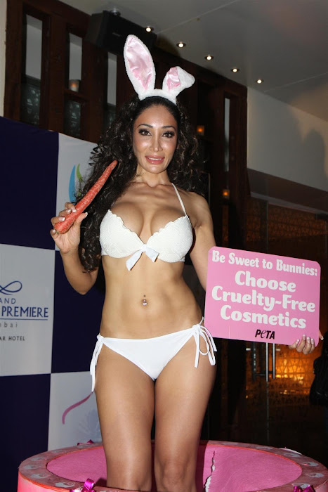 sofia hayat