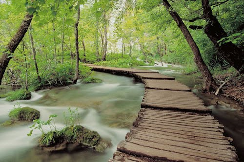 10 paisajes naturales (cada lugar incluye su nombre)