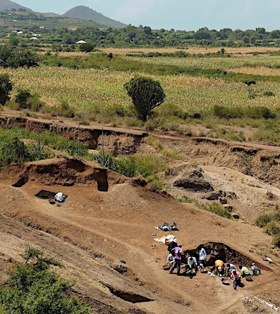 Раскопки на участке Ньяянга в июле 2016 г.