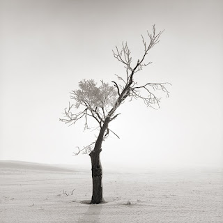 Black and white photos of Utah Lake - Hasselblad 500CM - Brandon Allen