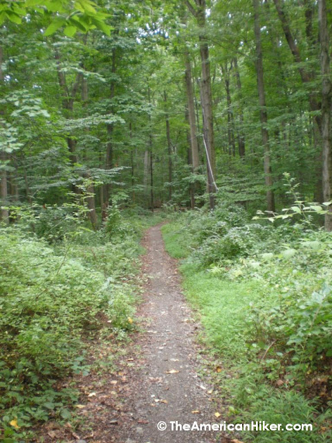 The old road at the eastern trail head of Woodlawn Game Preserve gives way to a traditional trail system once you walk further into the wooded area.