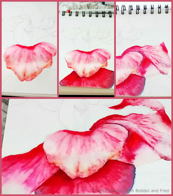 Collage of watercolour of a camellia in various stages