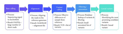 Bioinformatics in Next Generation