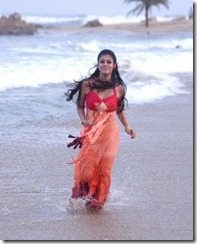 Nayanatara swimsuit pics 9
