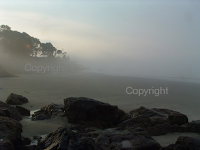 beach landscape misty new england coast massachusetts