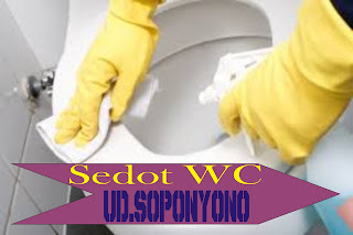 Harga Sedot WC Murah Mulyorejo Surabaya 085108111287