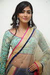 Pooja Hegde latest glam pics-thumbnail-18