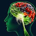 10 best foods For Brain Intelligence