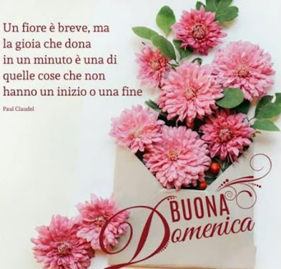 Belle immagini di buona domenica