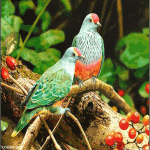 Kumpulan Animasi Gif Burung Bergerak ANIMASI DAN GAMBAR Kumpulan Animasi Gif Burung Bergerak ANIMASI DAN GAMBAR