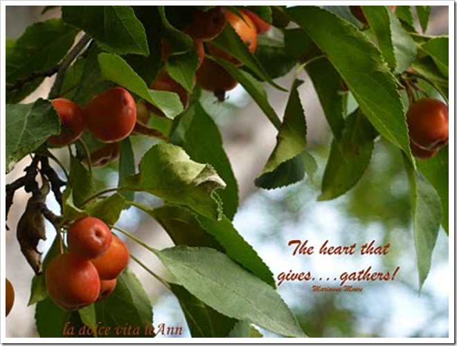 heart that gives gathers