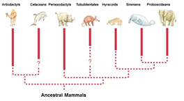 Catatan prestasi Guru Biologi: Evolusi
