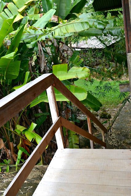 Guyane, auberge des orpailleurs, où dormir