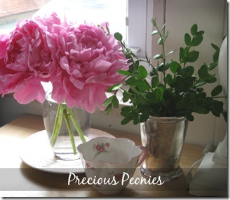 Peonies2