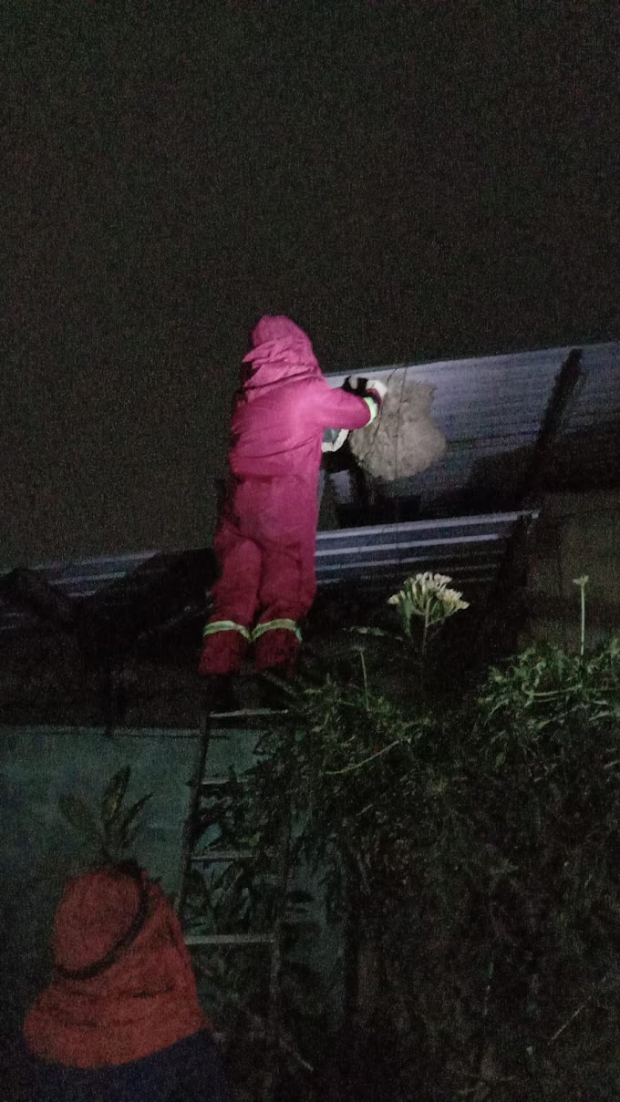 Sekitar 20 Menit Tim Rescue Damkar Cimahi Berhasil Musnahkan Sarang Tawon